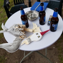 Koningschieten 2019